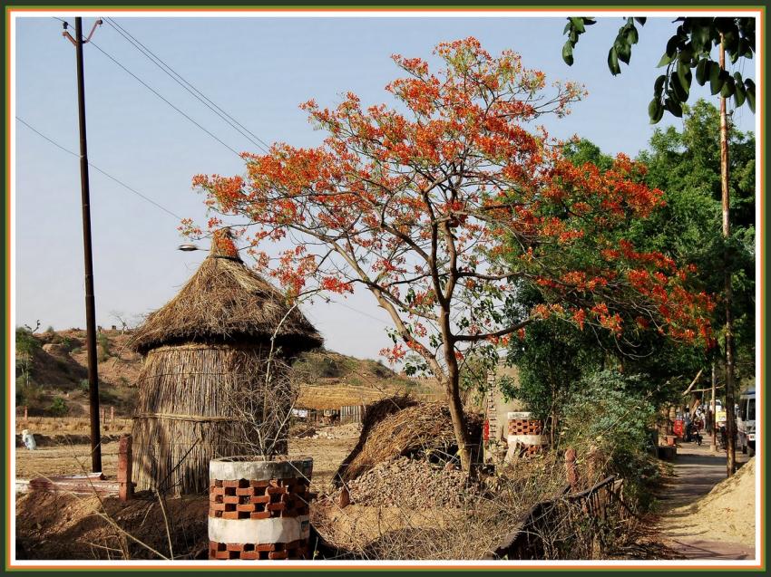 Fatehpur Sikri - Rajasthan