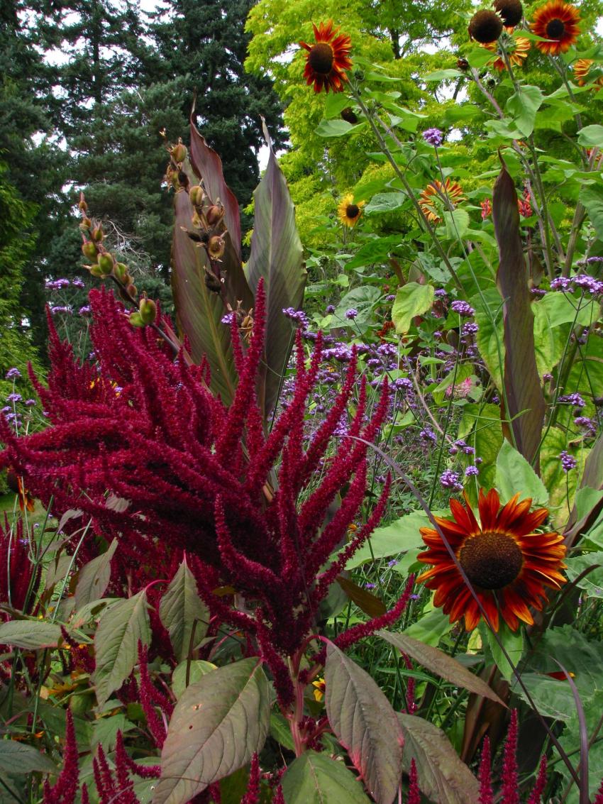 Jardin botanique Van Dusen