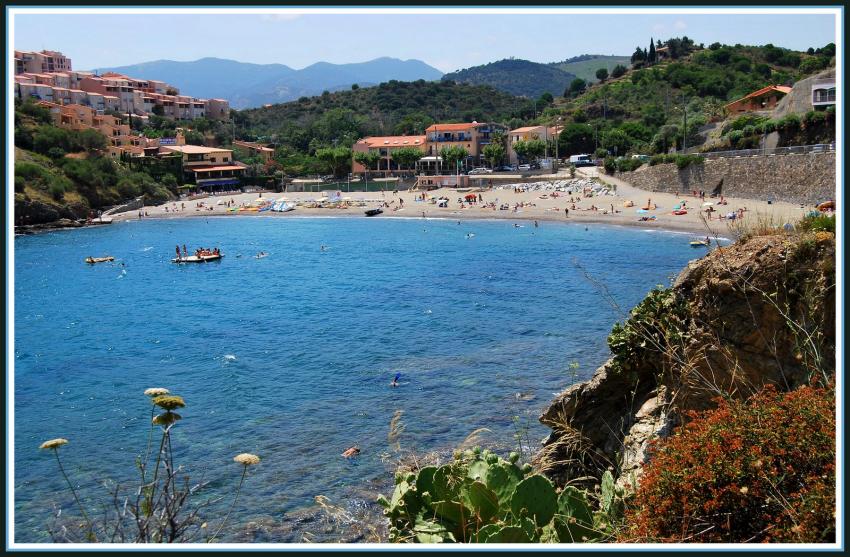 Banyuls (66) Une plage