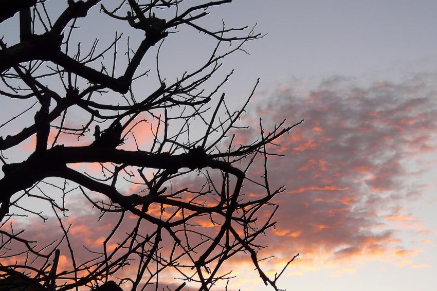 Lever de soleil en dcembre