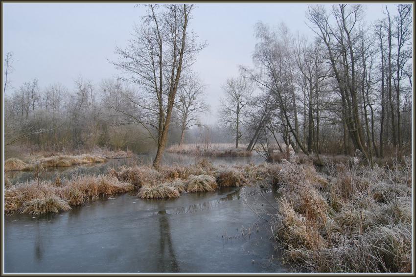Marais d'Isle  St-Quentin (02)
