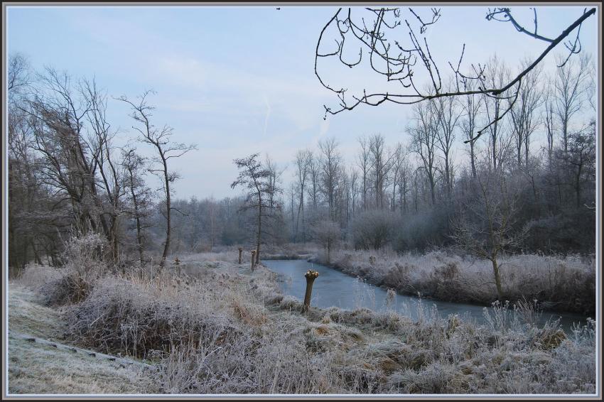 Marais d'Isle  St-Quentin (02)