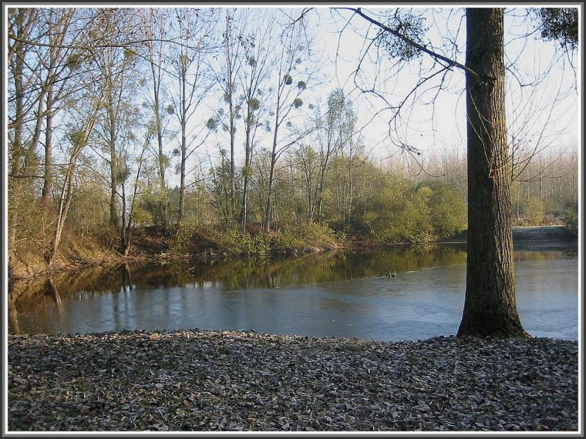 Sry-les-Mzires (02) Petit tang gel.