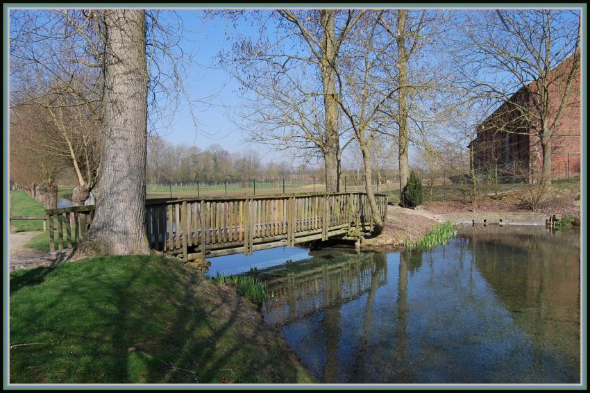 Pont de bois aux sources de la Somme