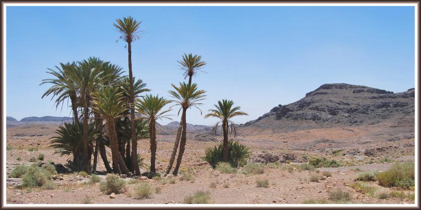Paysage  Ouarzazate