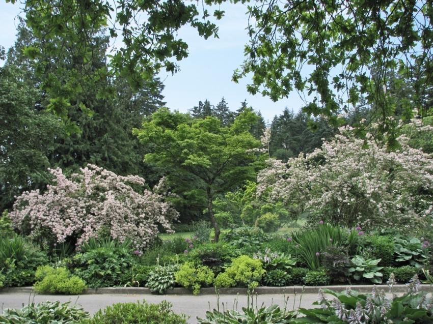 Jardin dans Stanley Park