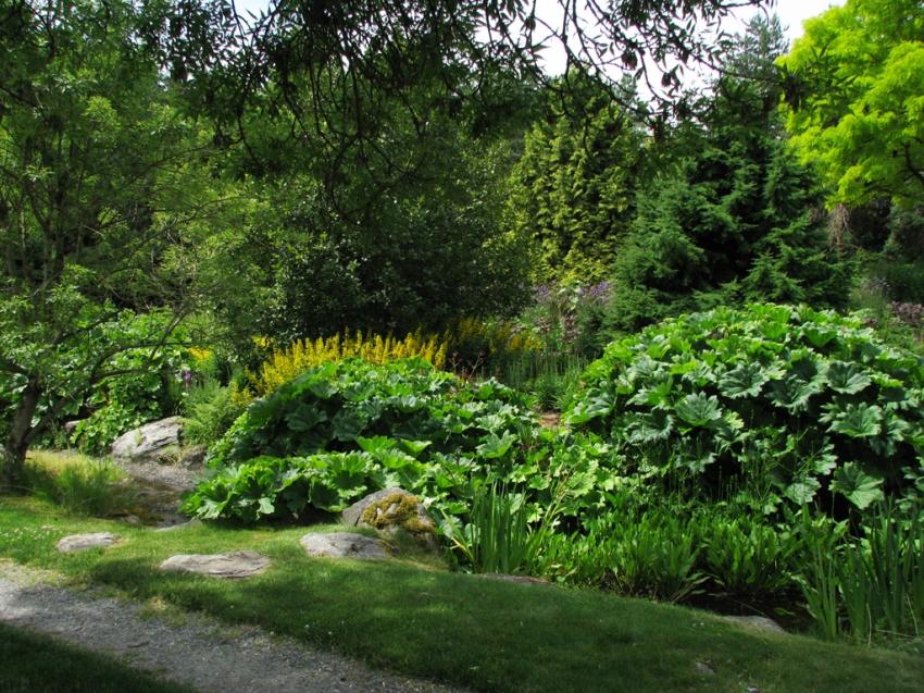 Jardin botanique Van Dusen Vancouver