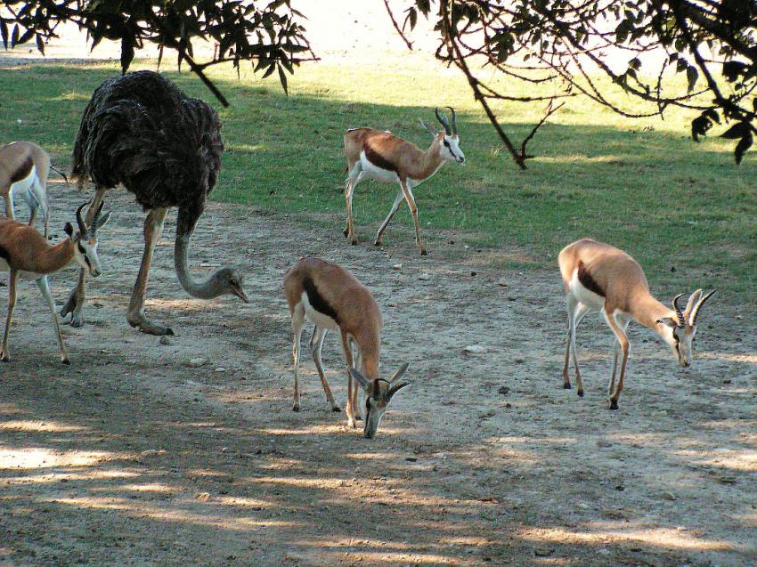 L'heure du repas approche..