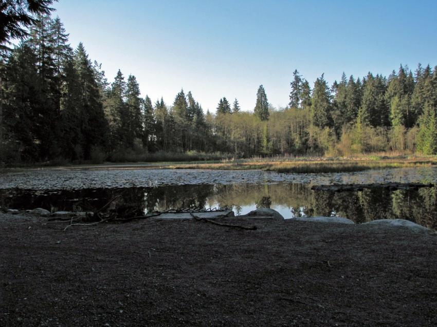 Beaver Lake Vancouver