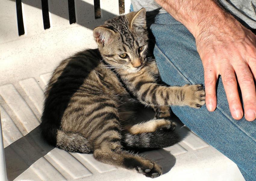 Protge-moi, j'ai peur !