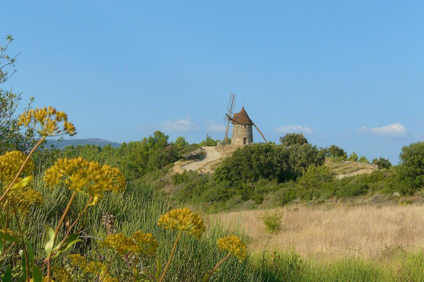 Le Moulin de La Livinire
