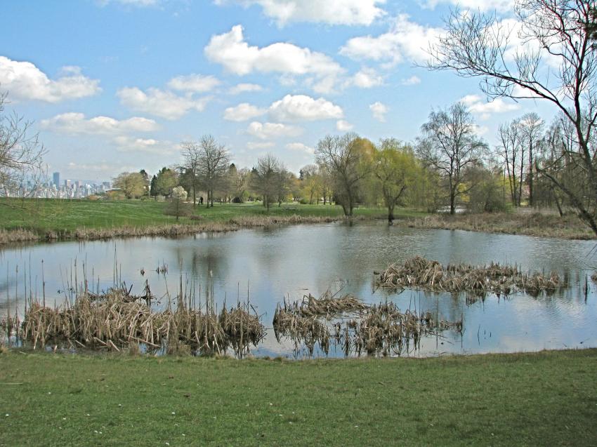 Jericho Park Vancouver Canada