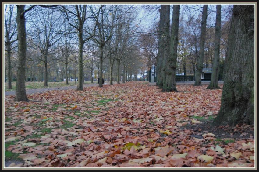 St-Quentin (02) Les Champs Elyses