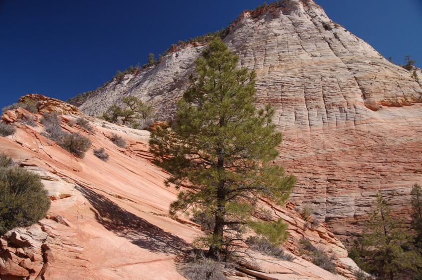 Je serais grand et fort !