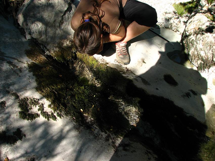 Rsurgeance de l'Alauzon ...