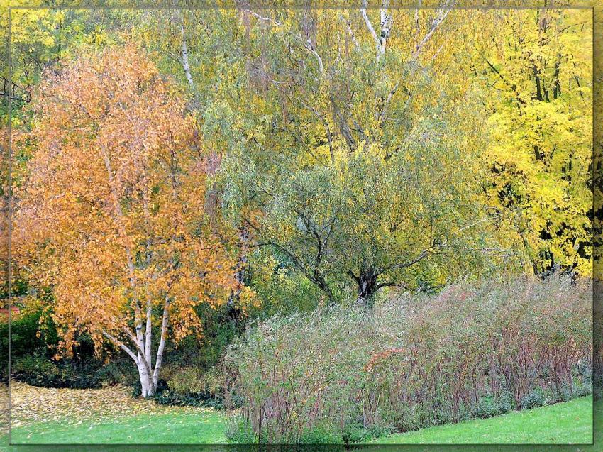 Hommage  Claude Monet