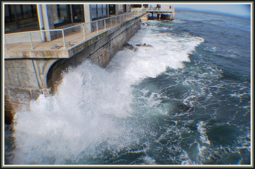 Conserverie sur l'eau