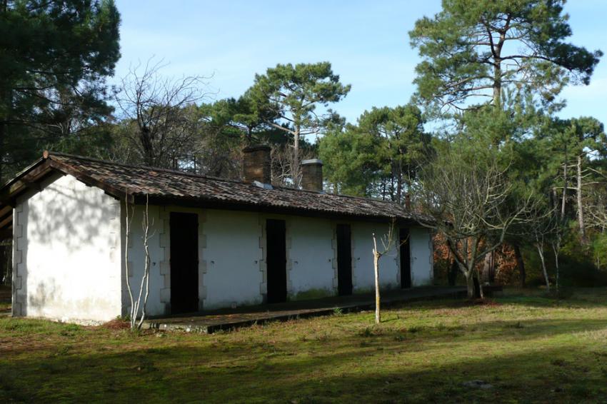 Les cabanes sur les bords du lac de Cazaux