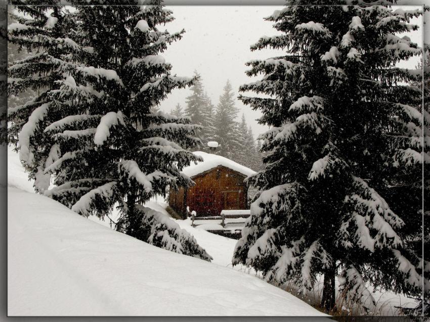 Petit coin perdu sous la neige