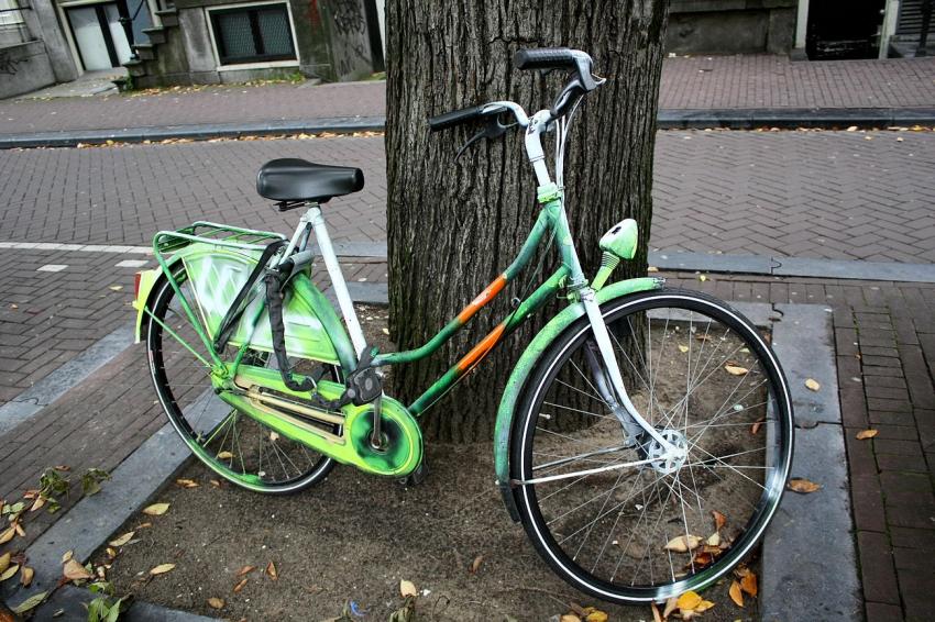 Vlo d'Amsterdam (12) 