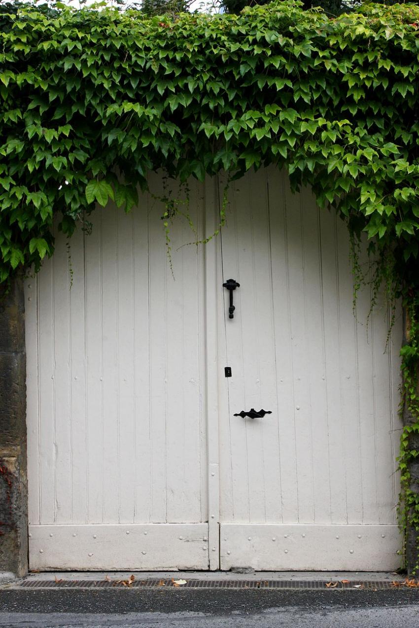 Portes (101) : Dans le Prigord,  Montignac (78)