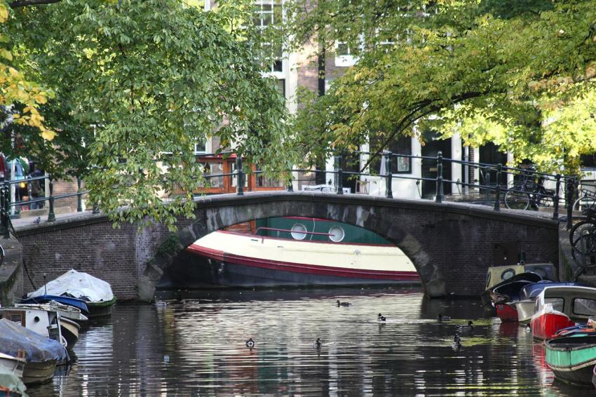 Amsterdam (115) 11 col-verts