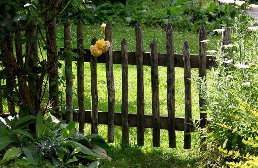 Portes (195) : Dans le Prigord  Montignac (172)