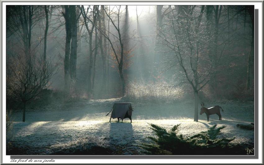 Au fond de mon jardin