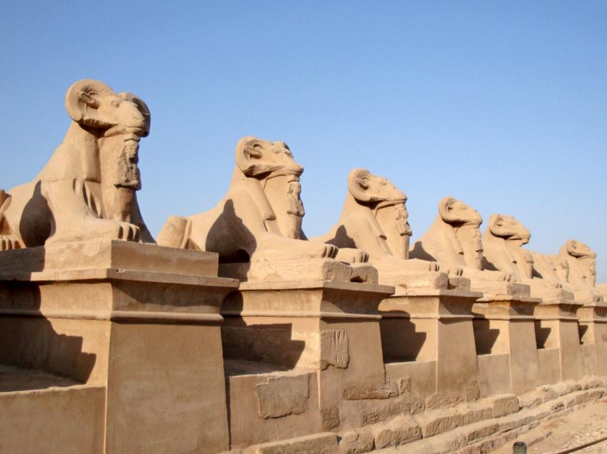 Alle de sphinx