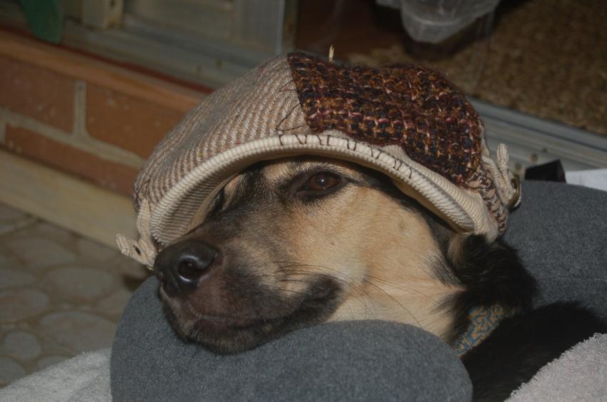 Oh que je suis malheureux...