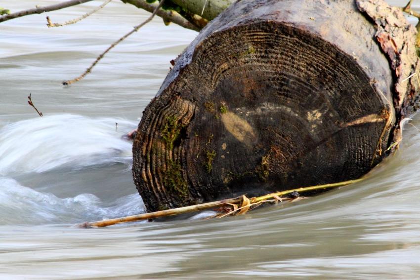 Les flots ne le font pas bouger