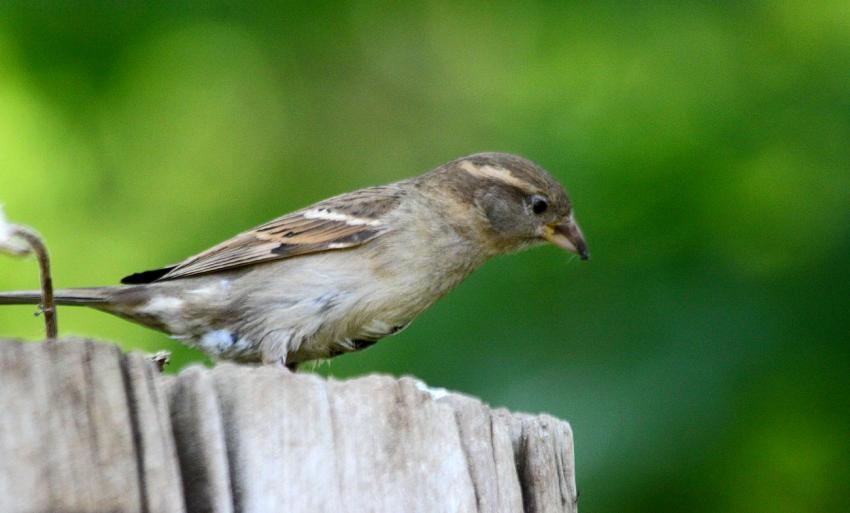 Qu'est-ce-qu'il y a en-bas ?