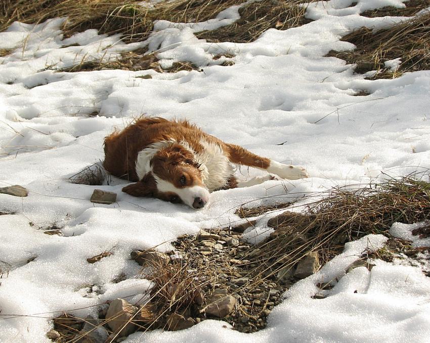 Un peu de fraicheur ...