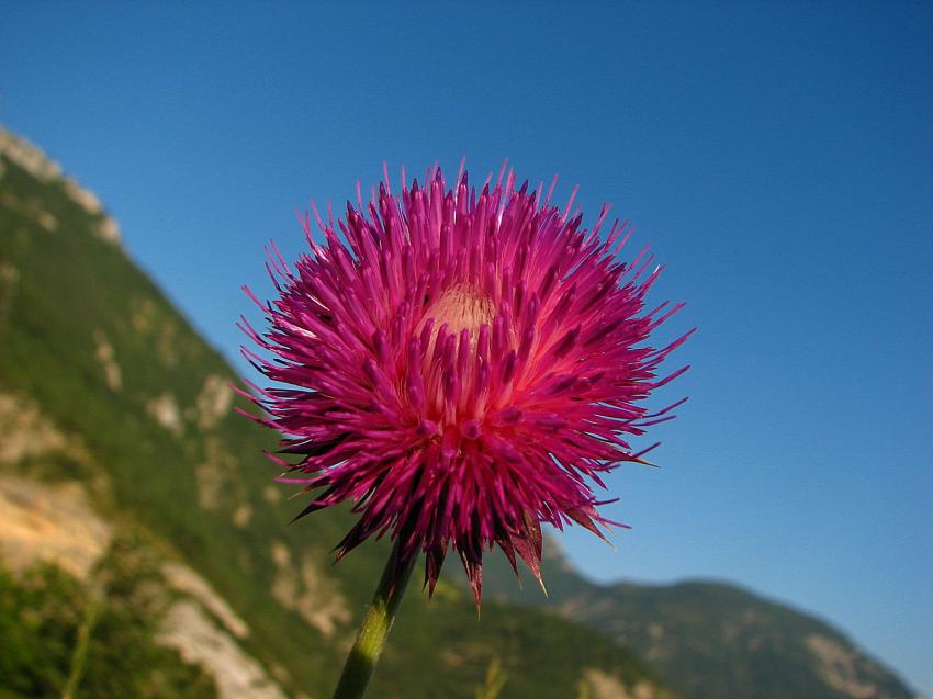 Aujourd'hui je m'clate ...