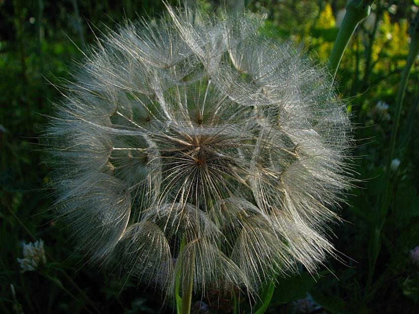 Demain je me disperse .....