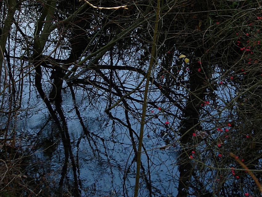 Reflets d'un soir sur la source sacre ...
