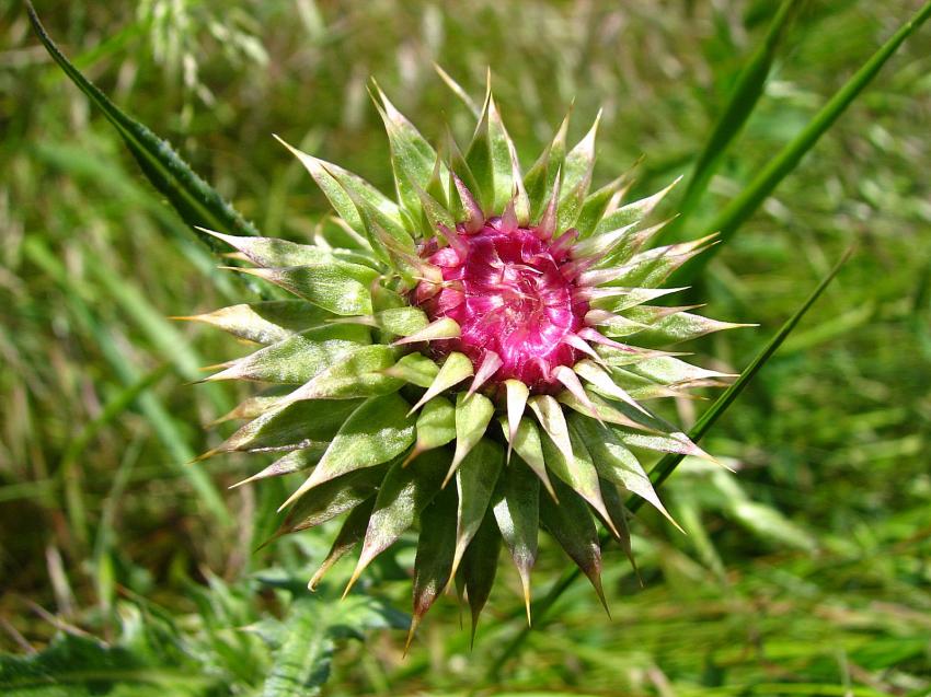 Dans quelques jours JE M'ECLATE .....