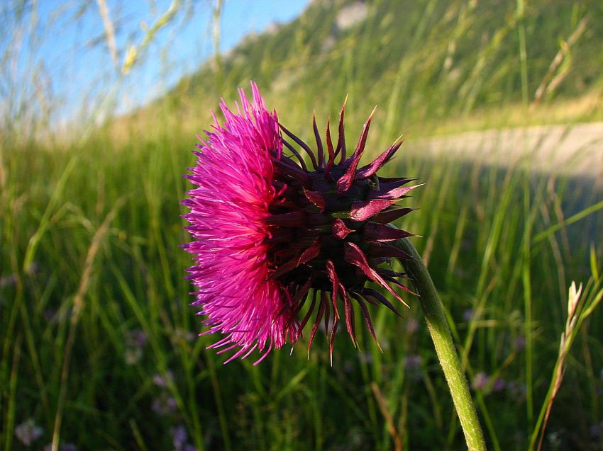 Aujourd'hui je m'clate ....pour vous