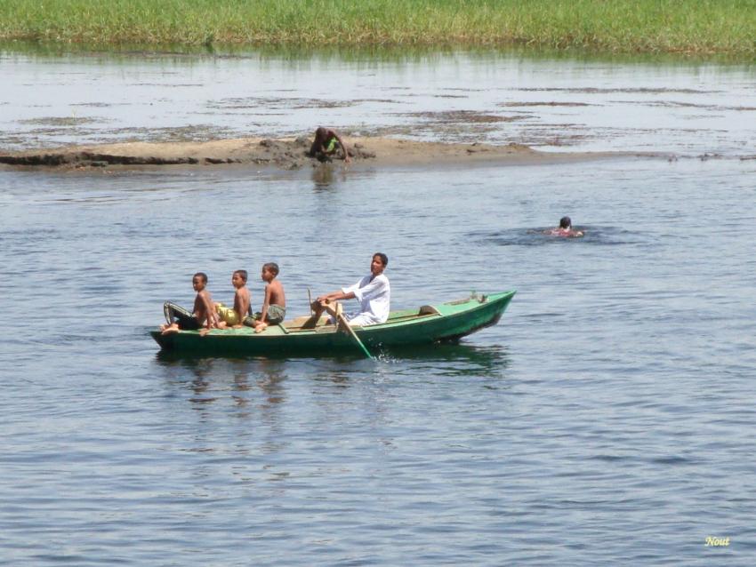 Il n'y a plus de crocodiles.