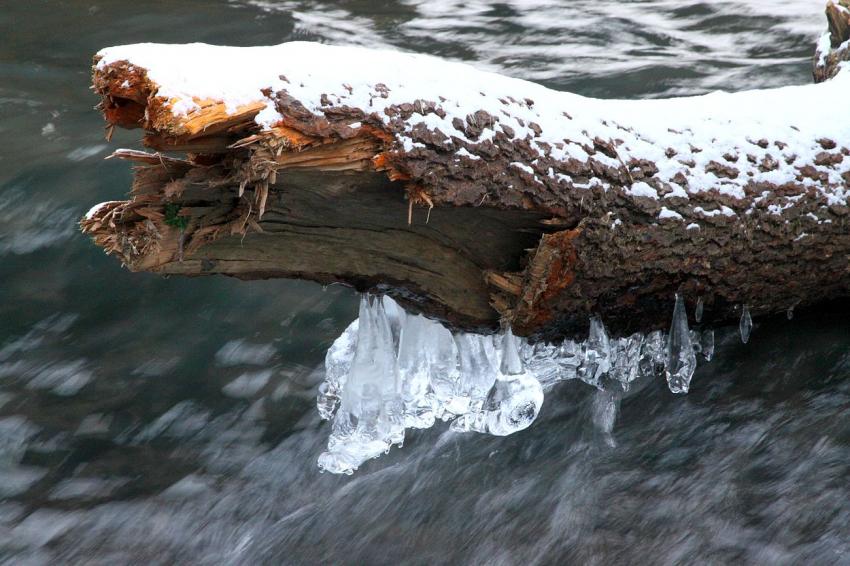 Les rigueurs de l'hiver