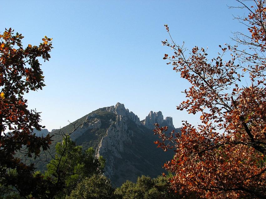 les dentelles de Montmirail