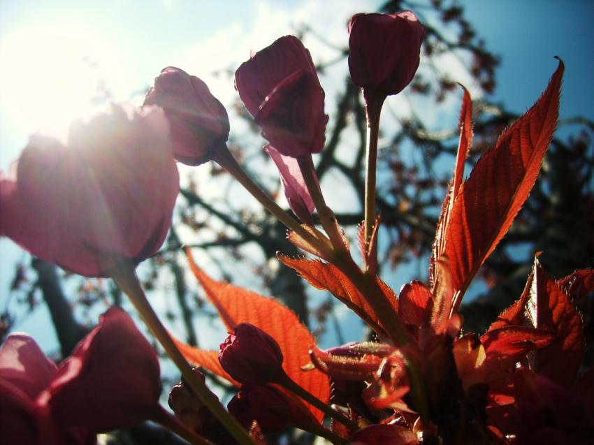 caresses par le soleil