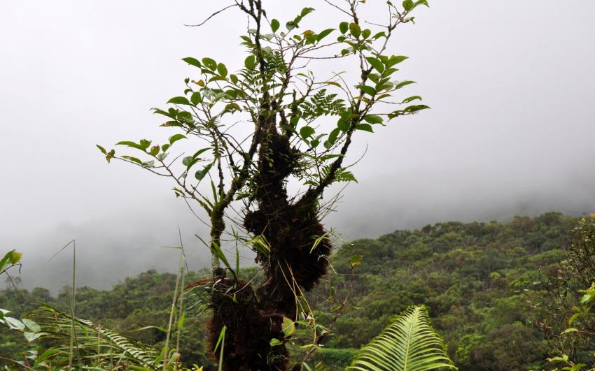 Le V de la victoire ?? 