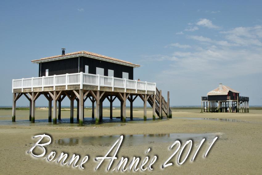 Bonne anne  tous