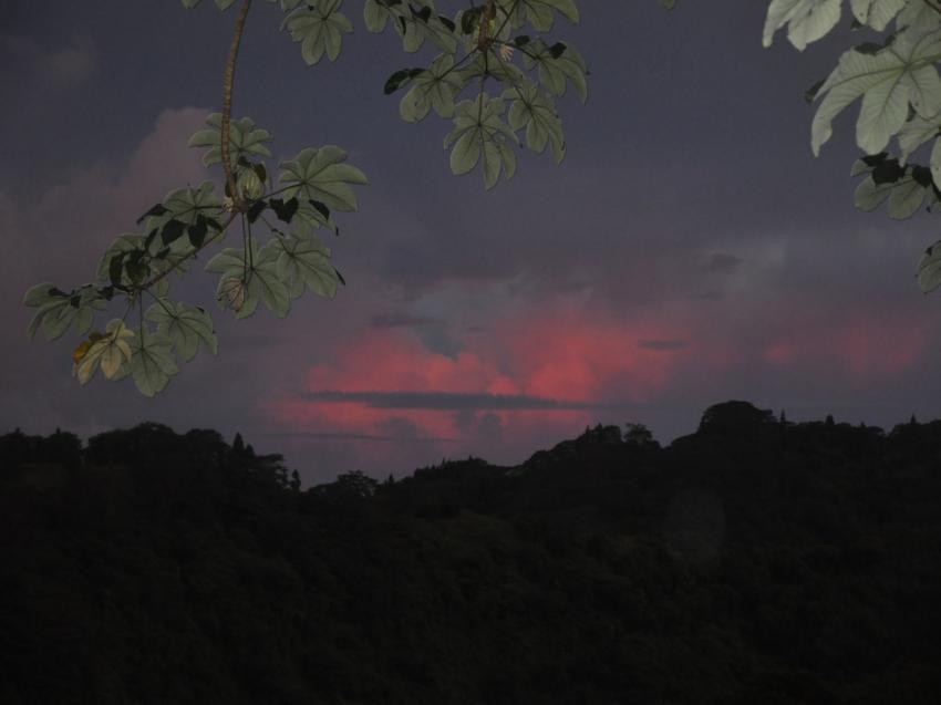 dernier filet de soleil