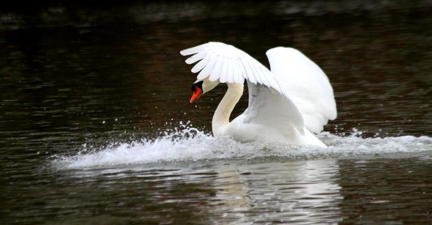 Attention, je me pose... 3me essai