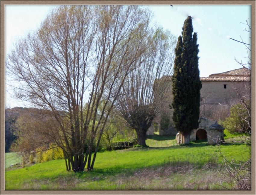 Titre : Une ''campagne''