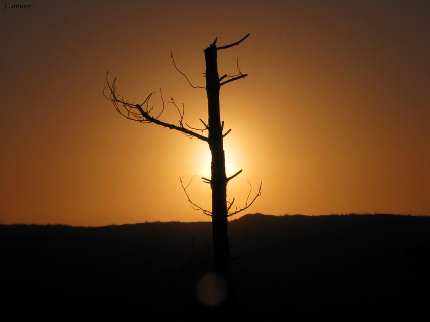 Quelques couchs de soleil...