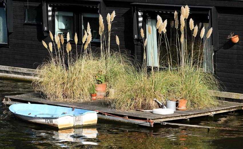 Amsterdam (123) Coin de verdure