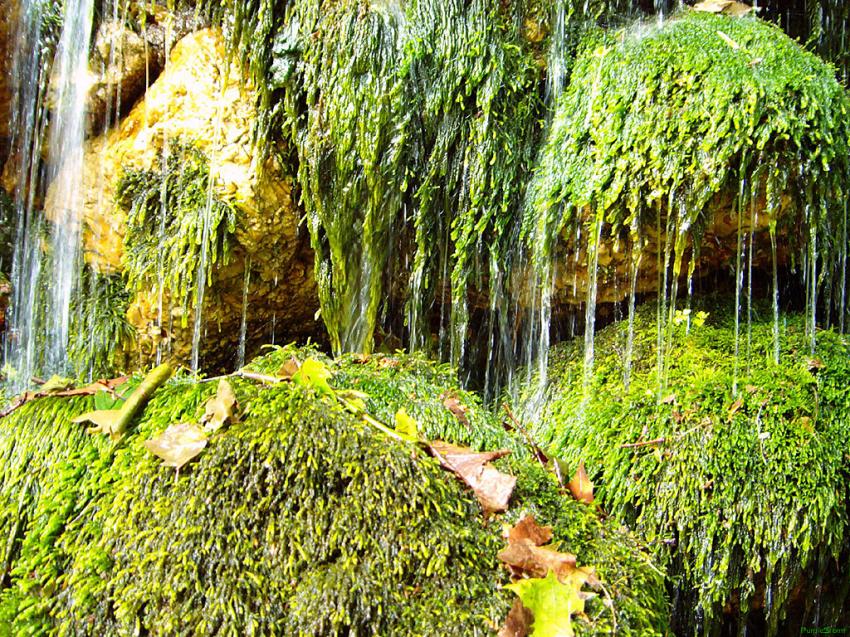 Cascade et rivire